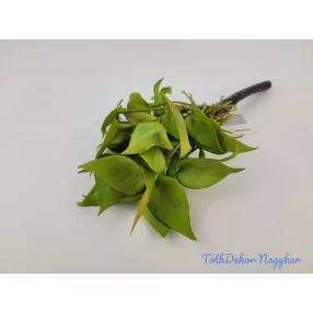 Szívleveles gumis bokor 21 cm - Sárgás Zöld