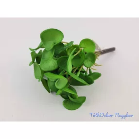 Békalencse gumis bokor 21 cm - Zöld