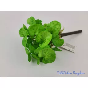 Békalencse gumis bokor 21 cm - Világos Zöld