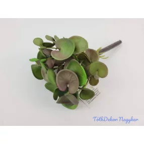 Békalencse gumis bokor 21 cm - Mályvás Zöld