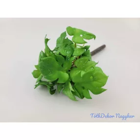 Cakkos levelű gumis bokor 21 cm - Világos Zöld Foltos