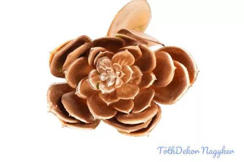 Kövirózsa 15cm - Arany