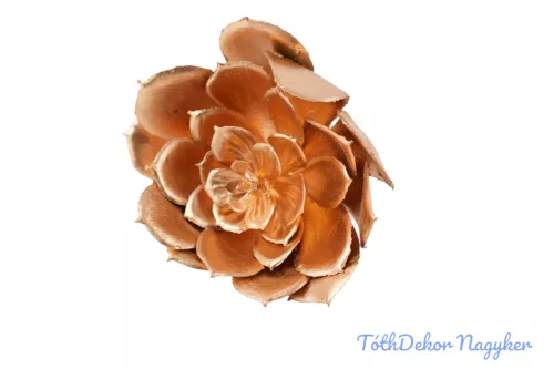Kövirózsa 14cm - Arany