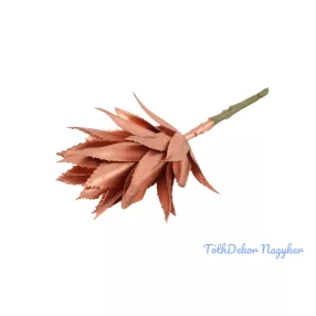 Recés levelű pozsgás 22cm - Bronz