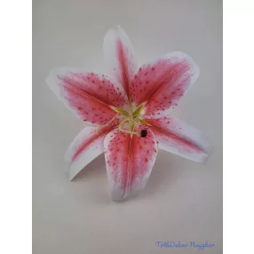 Gumi liliom fej D21,5cm - Fehér-Rózsaszín