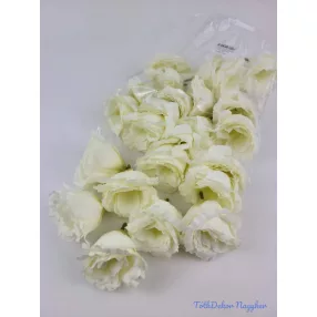 Liziantusz fej 6,5 cm - Krém