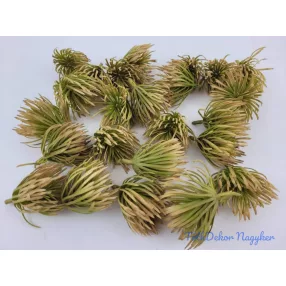 Mű tűszirmú pozsgás pick D4,5cm - Antik