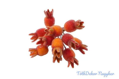 Deres csipkebogyó köteg 10cm - Narancs