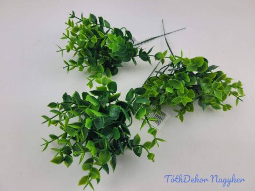 Levélfürtös pick 5 ágú 24 cm