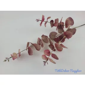 Eukaliptusz ág 75 cm - Mályvás