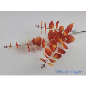 Eukaliptusz ág 75 cm - Pirosas