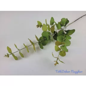 Eukaliptusz ág 75 cm - Zöld