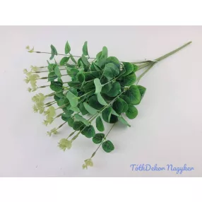 Eukaliptusz 16 ágú bokor 38cm - Zöld