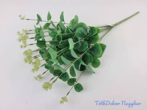 Eukaliptusz 16 ágú bokor 38cm - Zöld