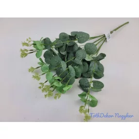 Eukaliptusz 16 ágú bokor 38cm - Hamvas