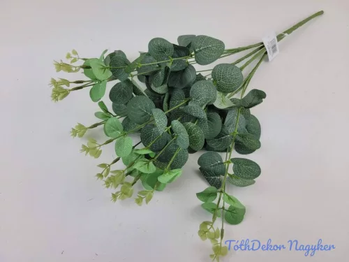 Eukaliptusz 16 ágú bokor 38cm - Hamvas