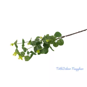 Eukaliptusz ág 67cm - Világos Zöld