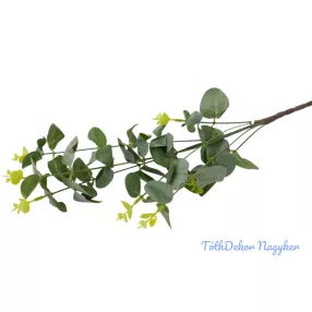Eukaliptusz ág 67cm - Sötét Zöld