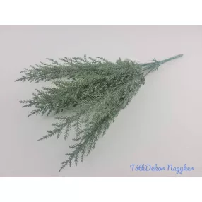 Tuja 7 ágú bokor 37cm - Hamvas