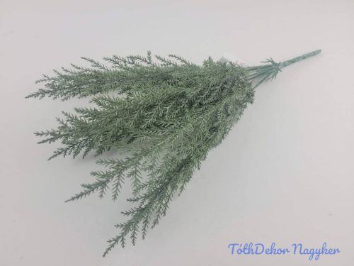 Tuja 7 ágú bokor 37cm - Hamvas