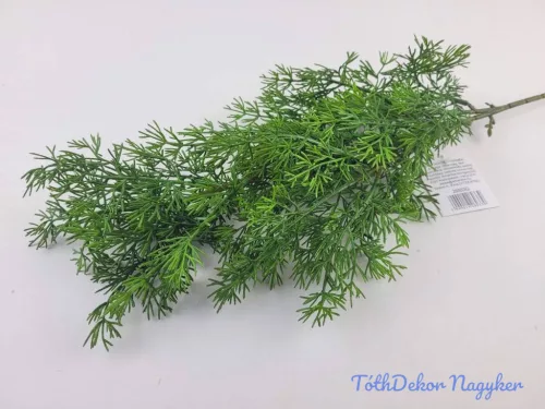 Tuja ág 64 cm - Zöld