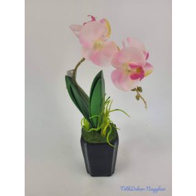 Cserepes gumi orcidea - Rózsaszín