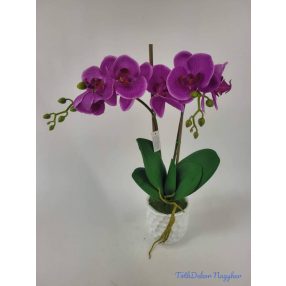 Cserepes gumi orchidea 2 ágú - Lila