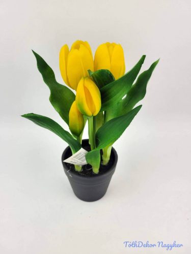 Cserepes gumi tulipán 2+3 fejes 23 cm - Sárga