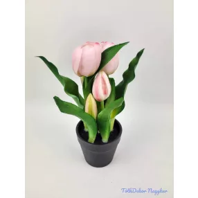   Cserepes gumi tulipán 2+3 fejes 23 cm - Halvány Rózsaszín