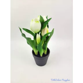 Cserepes gumi tulipán 2+3 fejes 23 cm - Zöldes Fehér