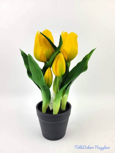 Cserepes gumi tulipán 2+3 fejes 24 cm - Sárga