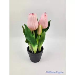   Cserepes gumi tulipán 2+3 fejes 24 cm - Halvány Rózsaszín