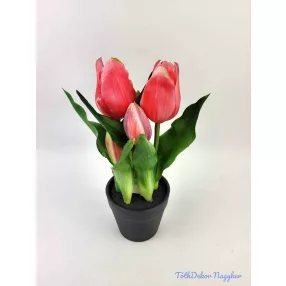 Cserepes gumi tulipán 2+3 fejes 24 cm - Sötét Rózsaszín
