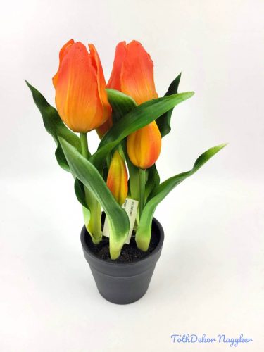 Cserepes gumi tulipán 2+3 fejes 24 cm - Narancs
