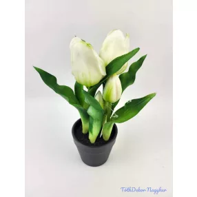 Cserepes gumi tulipán 2+3 fejes 24 cm - Zöldes Fehér