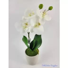 Cserepes gumi orchidea 39 cm - Fehér
