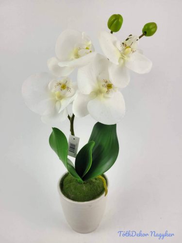 Cserepes gumi orchidea 39 cm - Fehér