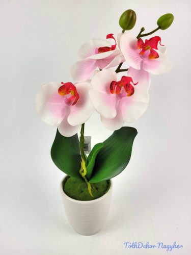 Cserepes gumi orchidea 39 cm - Fehér-Rózsaszín