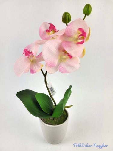 Cserepes gumi orchidea 39 cm - Rózsaszínes