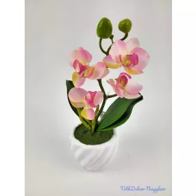 Cserepes gumi orchidea 22 cm - Púder Rózsaszín