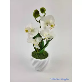 Cserepes gumi orchidea 22 cm - Fehér