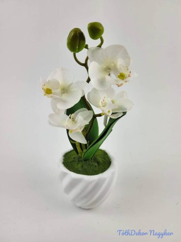 Cserepes gumi orchidea 22 cm - Fehér