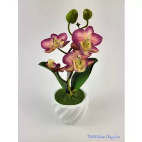 Cserepes gumi orchidea 22 cm - Mályvás
