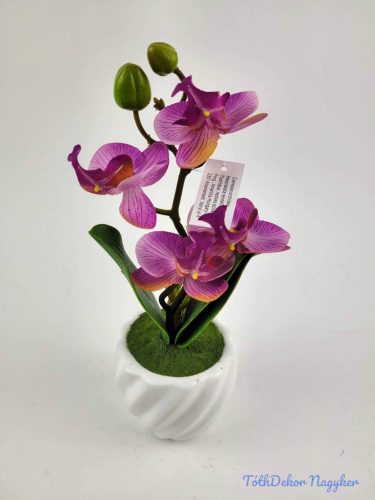 Cserepes gumi orchidea 22 cm - Világos Lilás