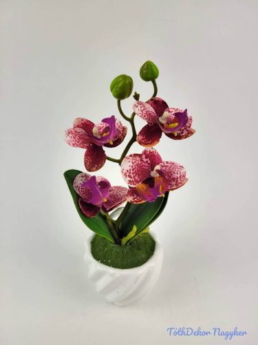 Cserepes gumi orchidea 22 cm - Pöttyös Rózsaszín