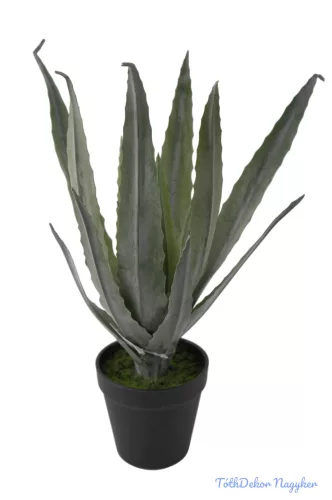 Cserepes aloe vera 32cm