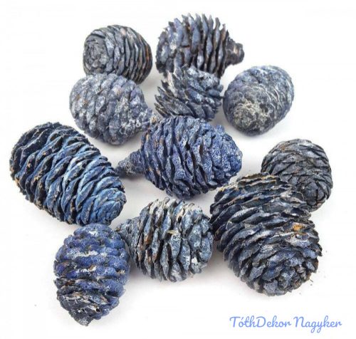 Muirii száraz termés 10 dkg - Hamvas Kék