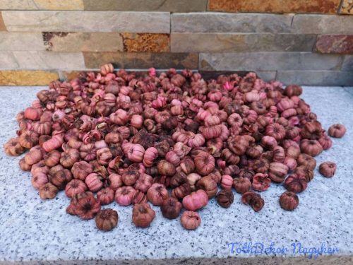 Putka pod száraz termés 8 dkg - Világos Rózsaszín