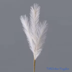 4 ágú pampafű ág 58cm - Ekrü