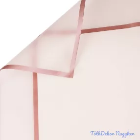 Áttetsző keretes matt fólia ív 58x58cm 20db/cs - Fehér